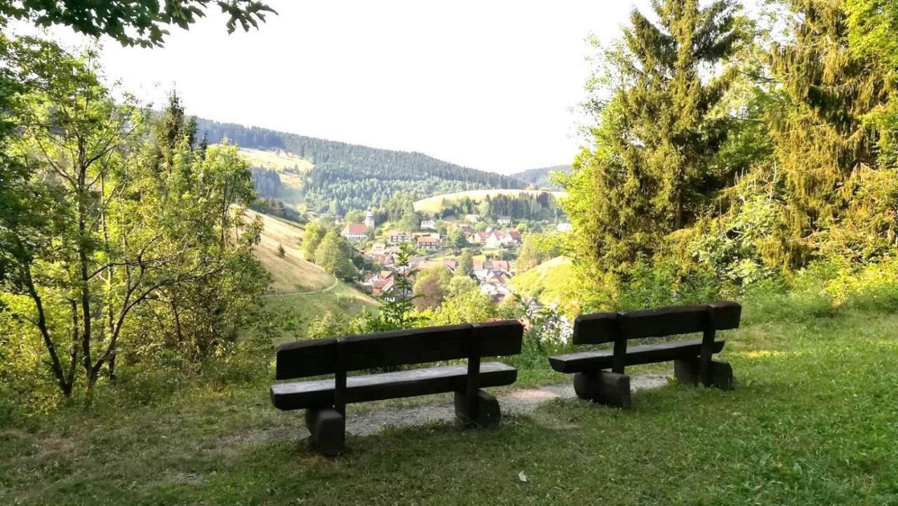 Ferienwohnungen Und Ferienhaus Hafermarkt Вильдеманн Экстерьер фото